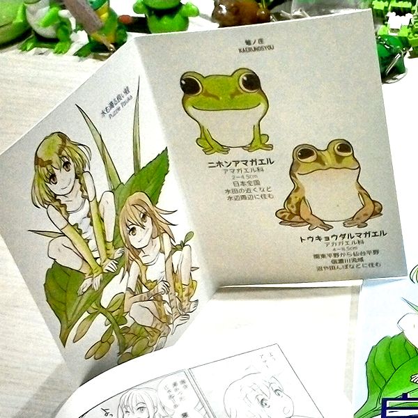 蛙ノ庄 水も滴る良い蛙 カード付 カエルグッズのオンラインショップなら札幌のハイネとミッケ